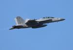 Aircraft 168376, USN EA-18G zx, at KOSH, photo by FloridaMetal