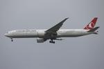 Aircraft TC-JJR, Boeing 777-3F2/ER reg TC-JJR of Turkish Airlines approaching RW13 Malta., at LMML, photo by raymond