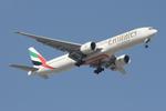 A6-EPN photo, click to enlarge
