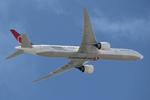 Aircraft TC-LJA