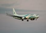 Aircraft TC-TLI, Rwy 19L, at ESSA, photo by wijken