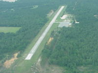  - Sylvester Airport - No Tweety Birds Here! - by Michael Martin