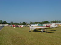  - 2003 International Cessna 120/140 Convention - by Mark Pasqualino