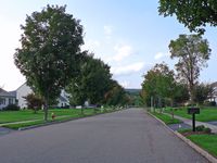 81N photo, click to enlarge