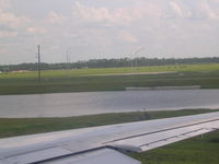  - Sandhill Cranes at MCO - by Florida Metal