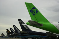  @ Cologne Bonn Airport - Tails - by Wolfgang Zilske