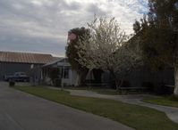  - Santa Paula Airport Office, Shade tree in bloom - by Doug Robertson