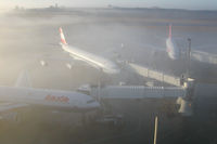  - foggy morning at VIE - by Yakfreak - VAP