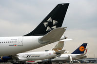  @ Cologne Bonn Airport - Tails - by Wolfgang Zilske