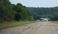 - Looking up runway 3, departing Cessna 172 (N1331Y), and a young deer keeping things interesting. - by Bob Simmermon