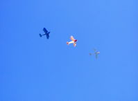  - Echelon Overflight-2007 National Bucker Fly-In - by Doug Robertson