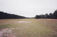 Scottbrook Farm Airport photo, click to enlarge