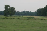 Windemere Airport photo, click to enlarge