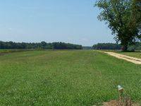 Ventosa Plantation Airport photo, click to enlarge