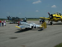  - 1/2 Scale P47 with other War Birds - by Allen M. Schultheiss