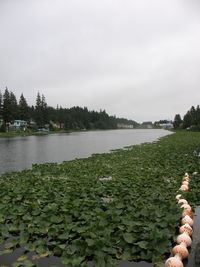 Kodiak /lilly Lake/ Seaplane Base photo, click to enlarge