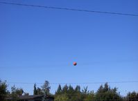  - Orange balls mark low wires on approach to water landing - by Doug Robertson