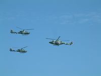  - Blue Eagles at Royal International Air Tattoo 2005 - by Steve Staunton