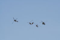  - Blue Eagles at Royal International Air Tattoo 2006 - by Steve Staunton