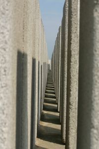  - inside the anti-noise wall - by Daniel Vanderauwera