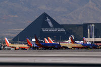  - A flock of Yellowbirds and Bluebirds gather at the Luxor. - by Brad Campbell
