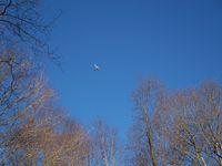  - A jerk from Chester almost hitting the trees, never reaching 500ft, and as usual barely clearing the trees - by Gene Bartholomew, get ready for a visit from the FAA 