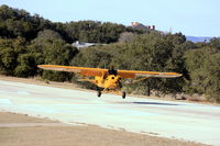  - Cub landing on 16 - by Richard Mays