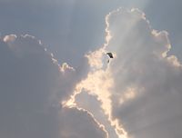 Chester Catawba Regional Airport photo, click to enlarge