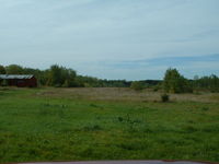  - Runway is overgrown, looking east from the road. - by Terry L. Swann