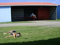  - Brampton Airport, Ontario Canada. Lazy day at the airport :) - by PeterPasieka