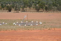  @ BELLB - BELLBURN Airstrip - Purnululu NP - WA - by Daniel Vanderauwera