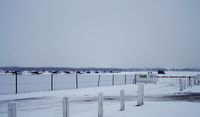 - Very quiet and white White Waltham - by moxy