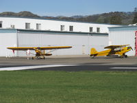  - A pair of Piper J3C CUBS-N1592N & N98425  - by Doug Robertson