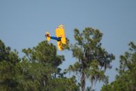  - Sun N Fun 2009 - Lakeland, Florida - by Bob Simmermon
