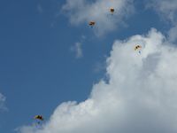  - Army parachute team - by Bob Simmermon