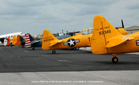  - Texan tails at Punta Gorda - by J.G. Handelman