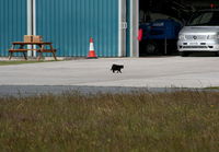  - Black Cat on the apron outside of Hangar 3 - by Chris Hall