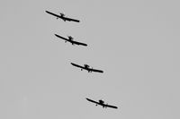  - Tiger Club Turbulent Display Team at the Cosford Air Show - by Chris Hall