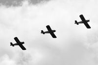  - Tiger Club Turbulent Display Team at the Cosford Air Show - by Chris Hall
