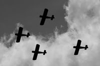  - Tiger Club Turbulent Display Team at the Cosford Air Show - by Chris Hall