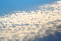  - CRJ-200 departing KLAX - by Mark Kalfas