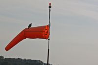  - Bird sitting on the windsock - by Timothy Aanerud