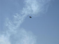 - Vicki Cruse Memorial-Missing Woman departs formation of aerobatic aircraft  - by Doug Robertson
