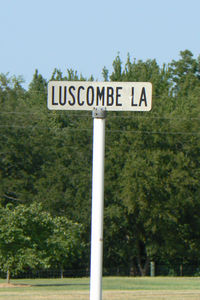  @ Luscombe Acres Airport - Luscombe Acres Airport - by Zane Adams
