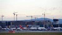 - View to Fraport´s big bird area - by Holger Zengler