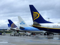  - A line up of tails at Edinburgh airport,taken from Almond road car park - by Mike stanners