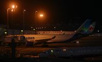  - Air caraibes at the gates - by SHEEP GANG