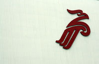  - Shenzhen Airliners logo - by Dawei Sun
