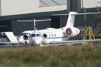  - G.A.apron during a European Summit - by Daniel Vanderauwera