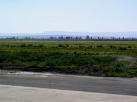  - Taxiway - by CrewChief